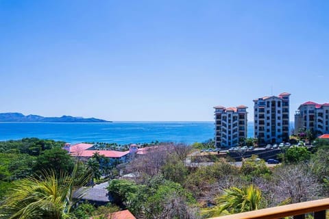 Welcome to Paraiso Presidential 20