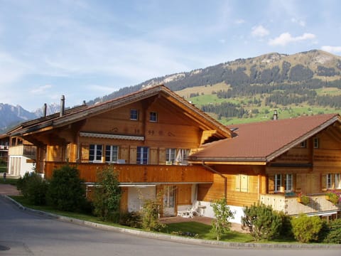 Snow, Building, Window, Freezing, House, Slope, Real Estate, Wood, Geological Phenomenon, Tree