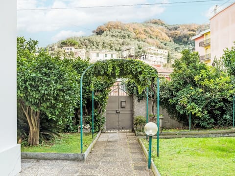 Green, Shrub, Garden, Shade, Hedge