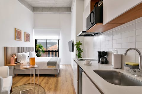 Modern Kitchen