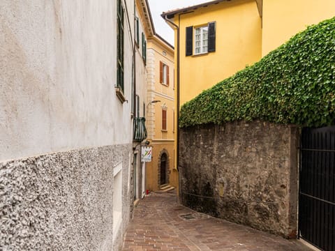 Window, Road Surface, Building, Plant, Wood, Neighbourhood, Wall, Flooring, House