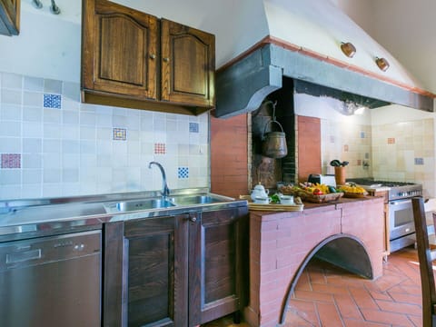 Plant, Building, Window, Flowerpot, Leaf, Tree, Road Surface, Vegetation, Houseplant, House