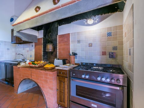 Plant, Building, Window, Flowerpot, Leaf, Tree, Road Surface, Vegetation, Houseplant, House