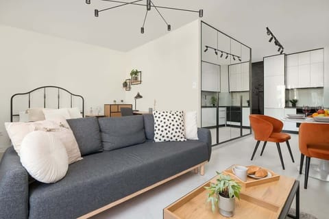 Living area with double sofa bed.