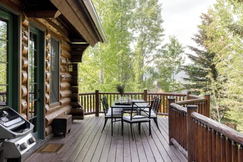 Patio off Living Room and Kitchen