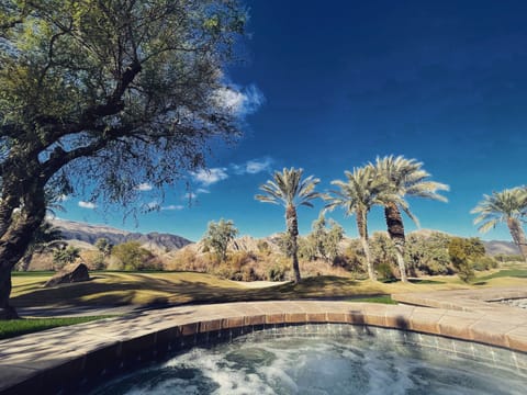 ultimate desert oasis (1)