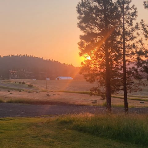 Evening view