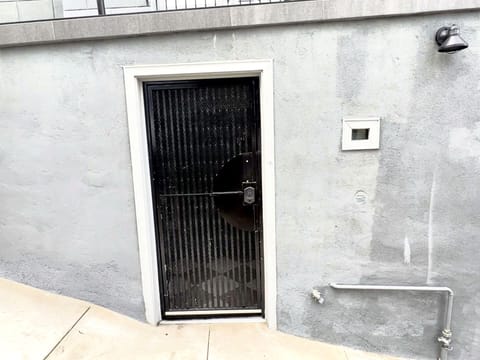 Well lite and secure entry door