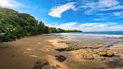 Beach nearby, white sand, sun loungers, beach umbrellas