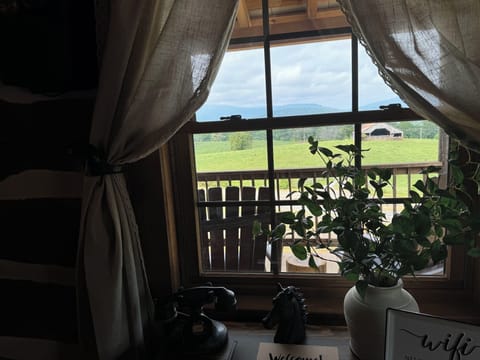 view from the living room