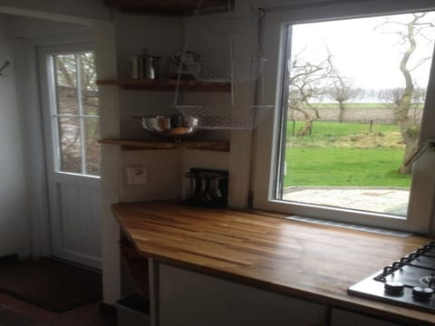 House | Private kitchen | Electric kettle, toaster