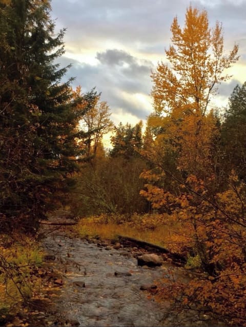 Our creek in the beautiful days of Autumn!