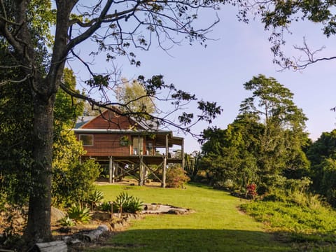 Your private mountain escape awaits at Wolvi Mountain Retreat.