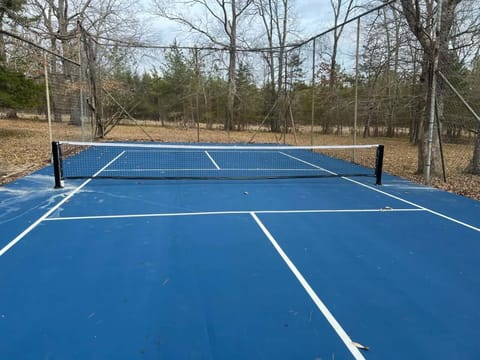 Challenge yourself to a friendly match on this beautiful blue tennis court surrounded by peaceful woodland.