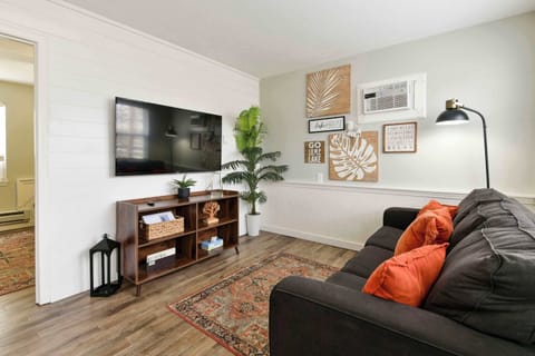 Living room with wall AC unit and Roku TV