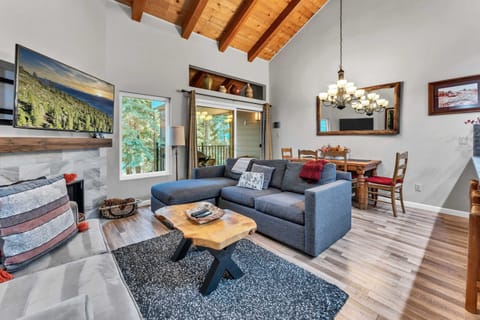 Main Living Space: Open layout, living room, dining room, kitchen, high ceilings, views over the surrounding trees