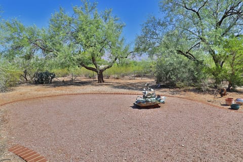 North Side Yard with fountain and mountain views