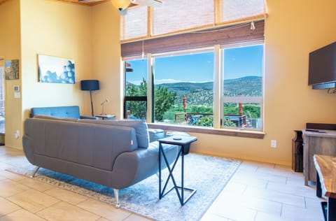 Living room with vineyard views