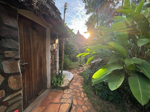 Premium Double Room | Garden view