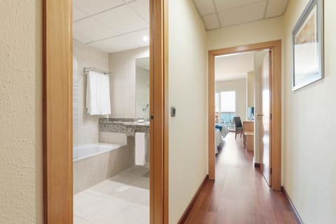 Hair dryer, bidet, towels