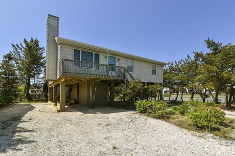 A coastal retreat elevated on stilts with a welcoming balcony, surrounded by mature trees and greenery—designed for breezy beach living near the shore.