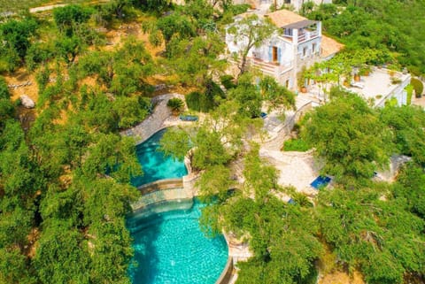 Aerial shot of the Olive Press