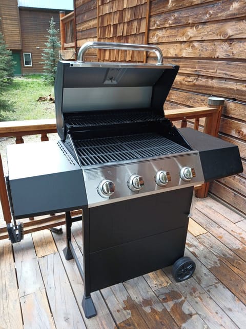 Gas Grill
