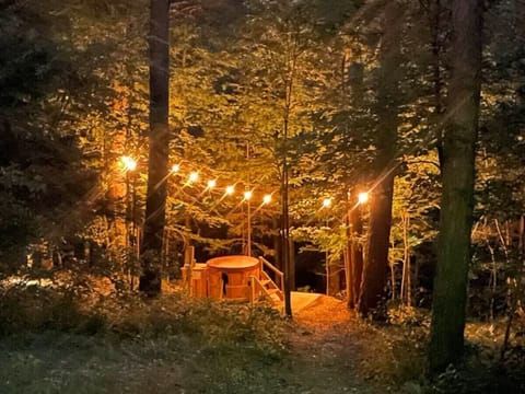 Japanese style hot tub is perfect for stargazing