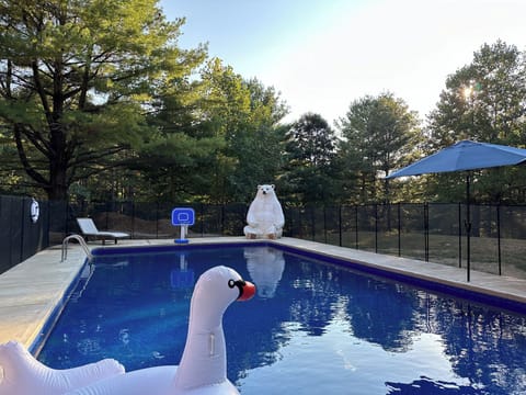 Your private 20x40 heated oasis. Relax in crystal clear water while surrounded by 16 acres of serene Hoosier National Forest. (Heated & Open May 1–Oct 15 open May 1st  through October 15th!) 

Pool toys and furniture subject to change