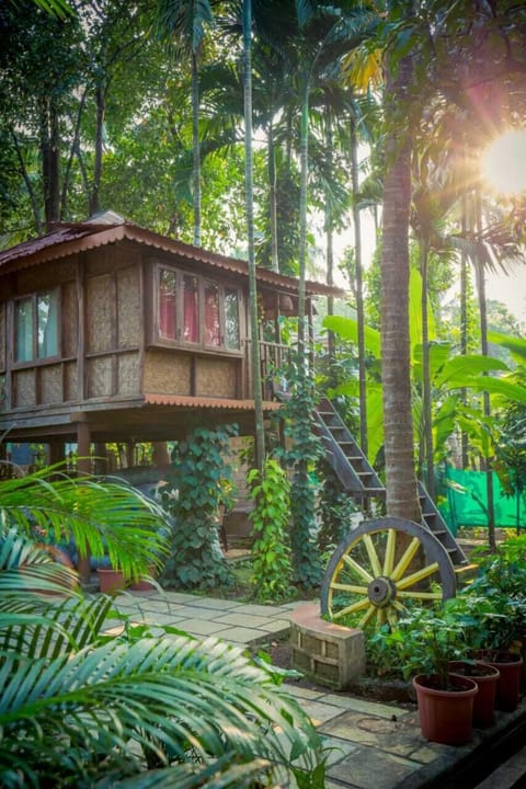Tree House | Free WiFi