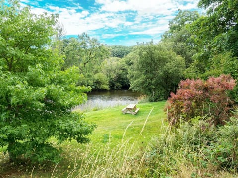 Picnic bench and grassy area on the banks of the River Teifi