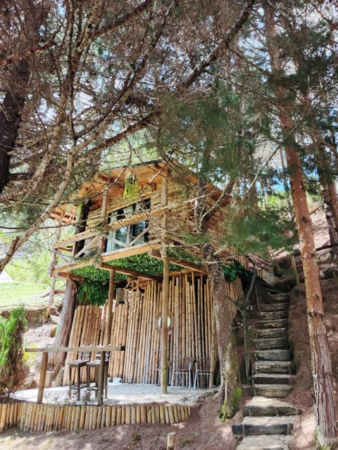 Tree House, Jetted Tub, Valley View | Terrace/patio
