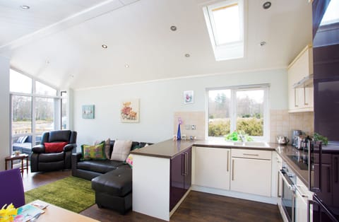 Cabin | Private kitchen | Fridge, microwave, oven, stovetop