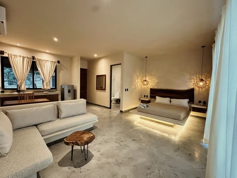General View of the Suite