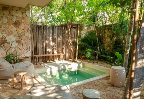 Exterior/ Patio y Alberca privados