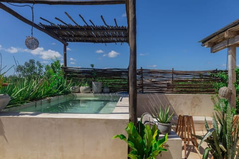Exterior / Terraza y alberca privada