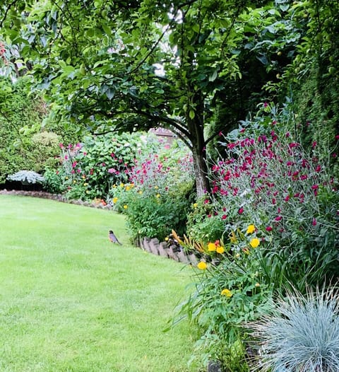 View from the Room in summer