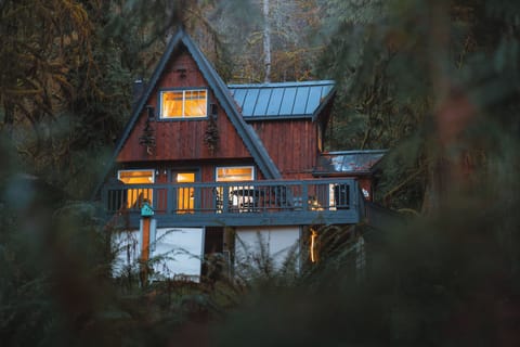 Our cozy cabin is secluded in the forest