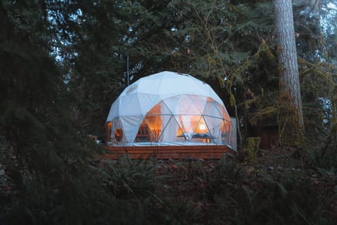 Our cozy geodome surrounded by the North Cascades