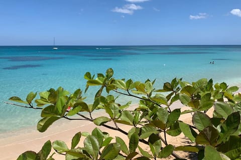 Beach directly in front of the property