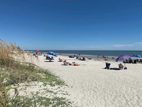 Folly Field Beach