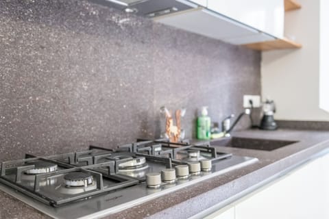 Apartment, 2 Bedrooms, Balcony | Private kitchen | Fridge, oven, stovetop, dishwasher