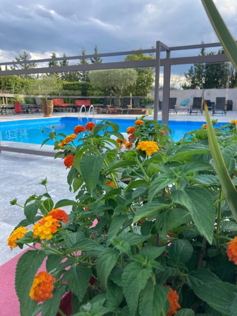 Outdoor pool, open 9:00 AM to 7:30 PM, sun loungers