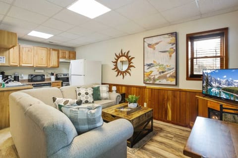 Lower Level has a Second Living Area with a Full Kitchen and TV