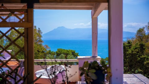 Basic Apartment, Sea View | Terrace/patio