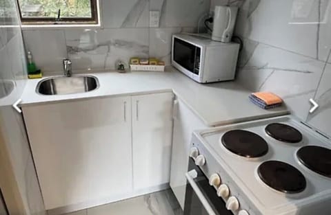 Full-size fridge, microwave, oven, stovetop