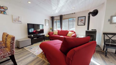 Modern living room with flat screen TV, pellet stove