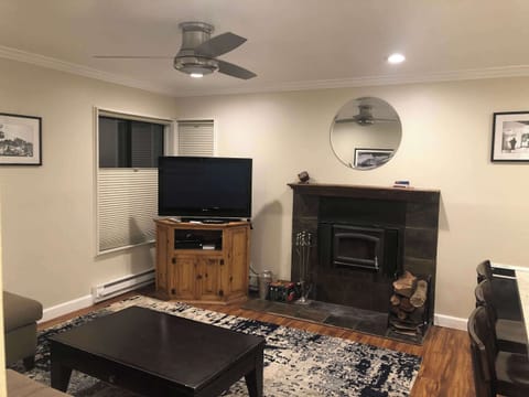 Living room with TV, sofa sleeper, and fireplace