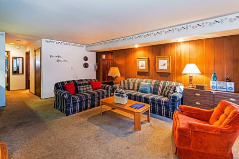 Living room w/ sofa sleeper, TV, DVD player, wood burning fireplace