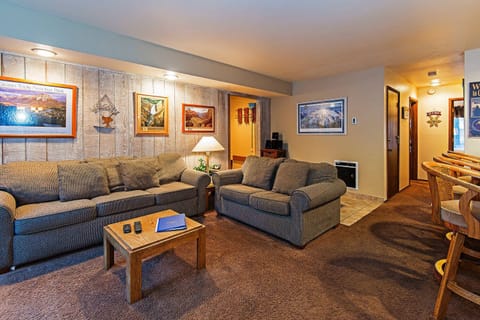 Living room w/ TV, DVD player, wood burning fireplace